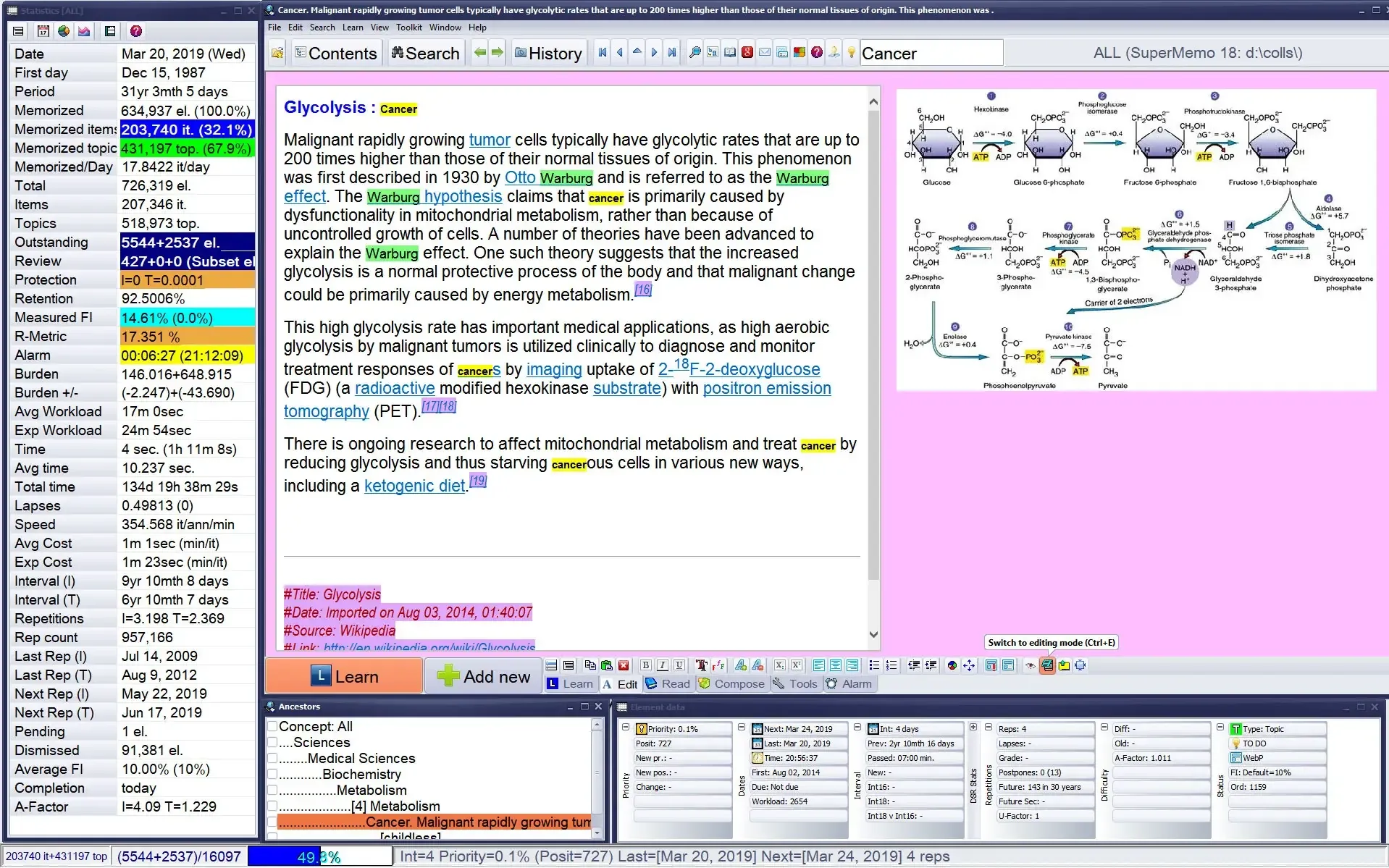 SuperMemo desktop application displaying cancer and glycolysis study content with detailed memory statistics and performance metrics